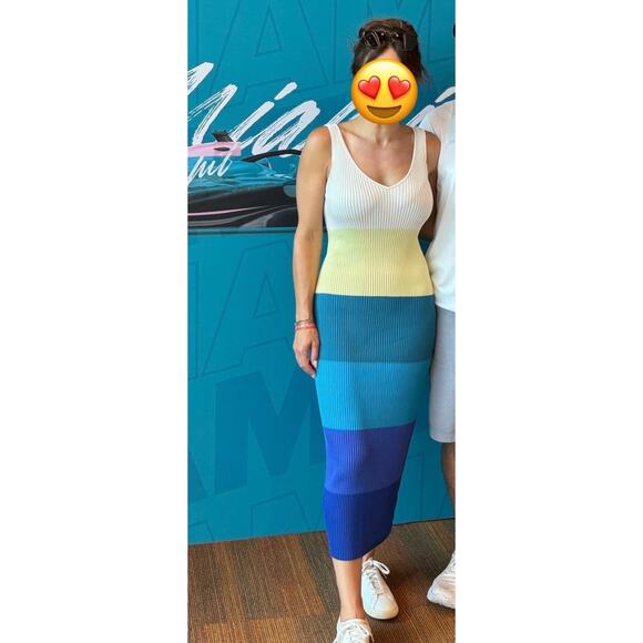 STAUD Blue White Colorblock Stripe Sleeveless V-Neck Dana Midi Dress Size Small - Picture 15 of 15